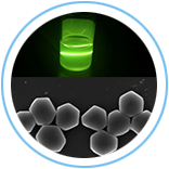 pd-1-circle